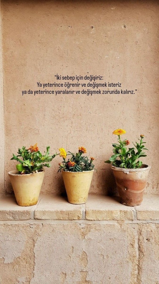 amele tanrıçası (@sehribanseckin2) on Twitter photo 