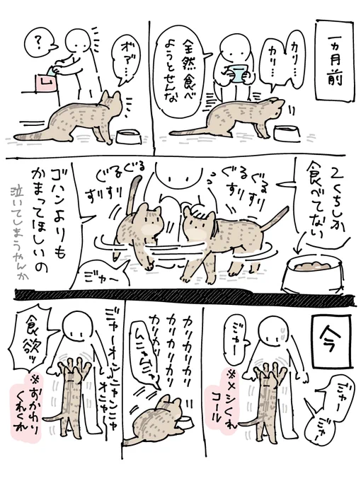 居候くんの近況報告の絵日記です 1ヶ月で「食の細い控えめな寂しがり屋さん」から「食欲旺盛で主張の強い元気いっぱいさん」に見事な転身をとげた