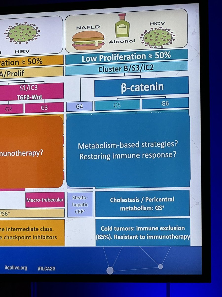 Is PET a fool’s errand in #HCC diagnosis? Sabine Colnot @CRCordeliers thinks not! Low proliferation, beta catenin driven subtypes may be fluorocholine (not FDG) avid and in fact a subset light up with fluorocholine PET scanning. @ILCAnews @Zucmanrossi