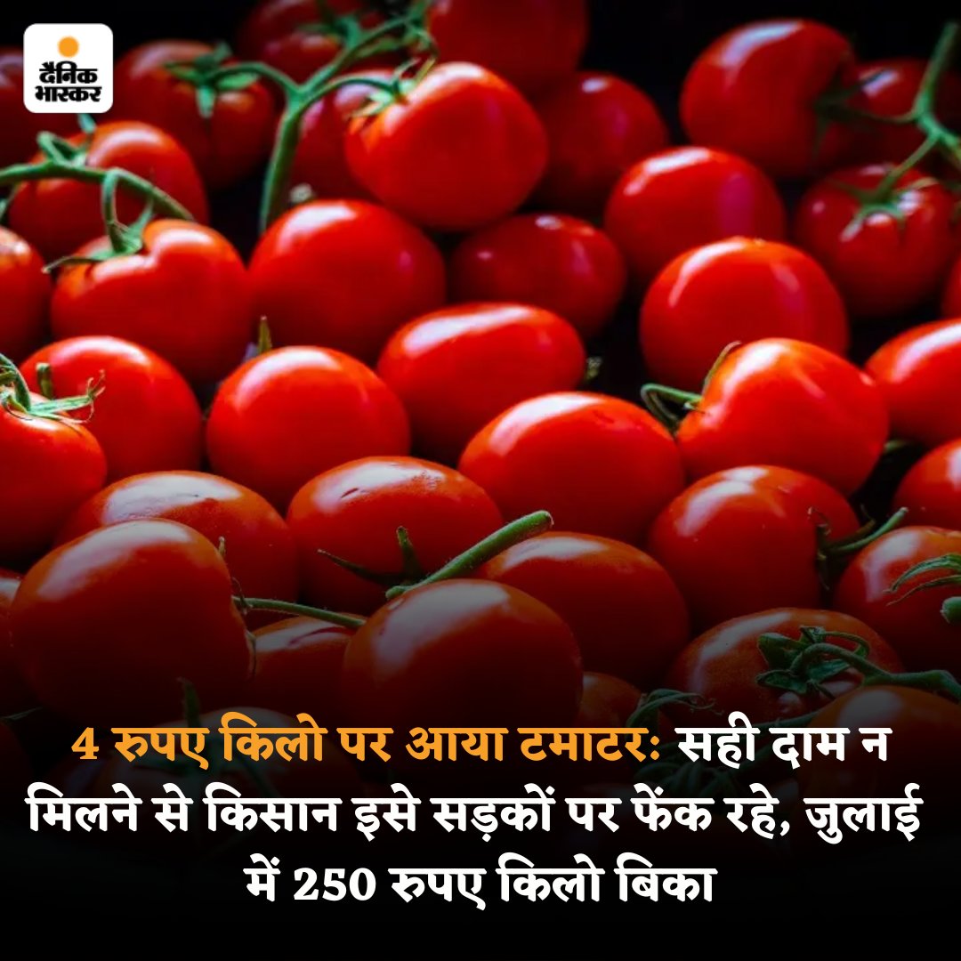 जून में 250 रुपए किलो बिकने वाला टमाटर अब रिटेल बाजार में 15 रुपए किलो पर आ गया है। वहीं किसानों के अनुसार थोक में इसके दाम 4 से 5 रुपए प्रति किलो पर आ गए हैं। किसानों का कहना है लागत भाड़ा और मजदूरी भी नहीं निकल पा रही है।

#TomatoPrice 

पढ़ें पूरी खबर- dainik-b.in/iAXBmM20WCb