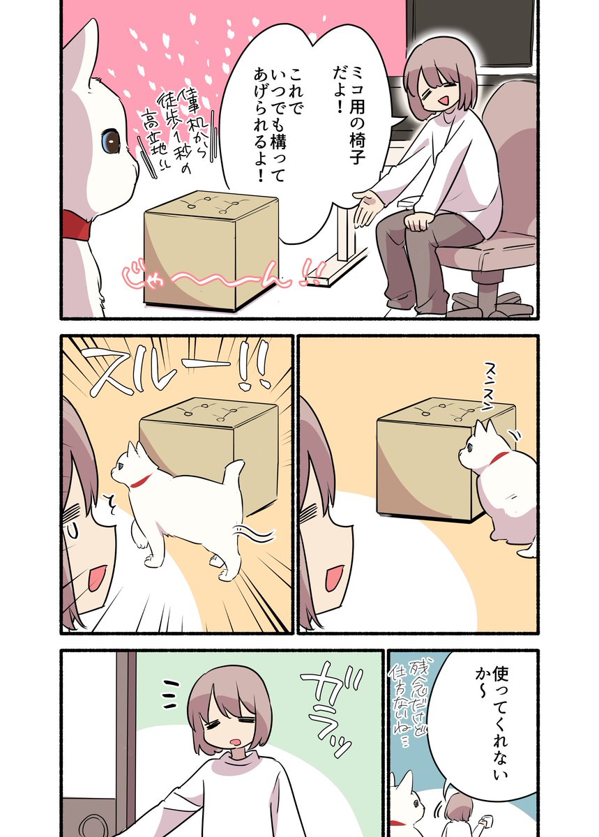 構われたがり過ぎる猫を飼っている話 2/2 #漫画が読めるハッシュタグ
