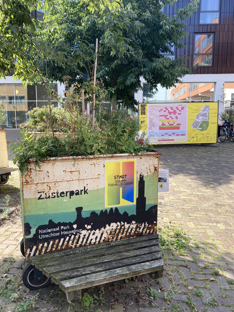 Marit Overbeek tweet media