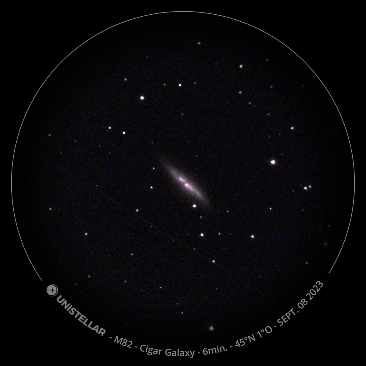 Manon Pujol tweet media