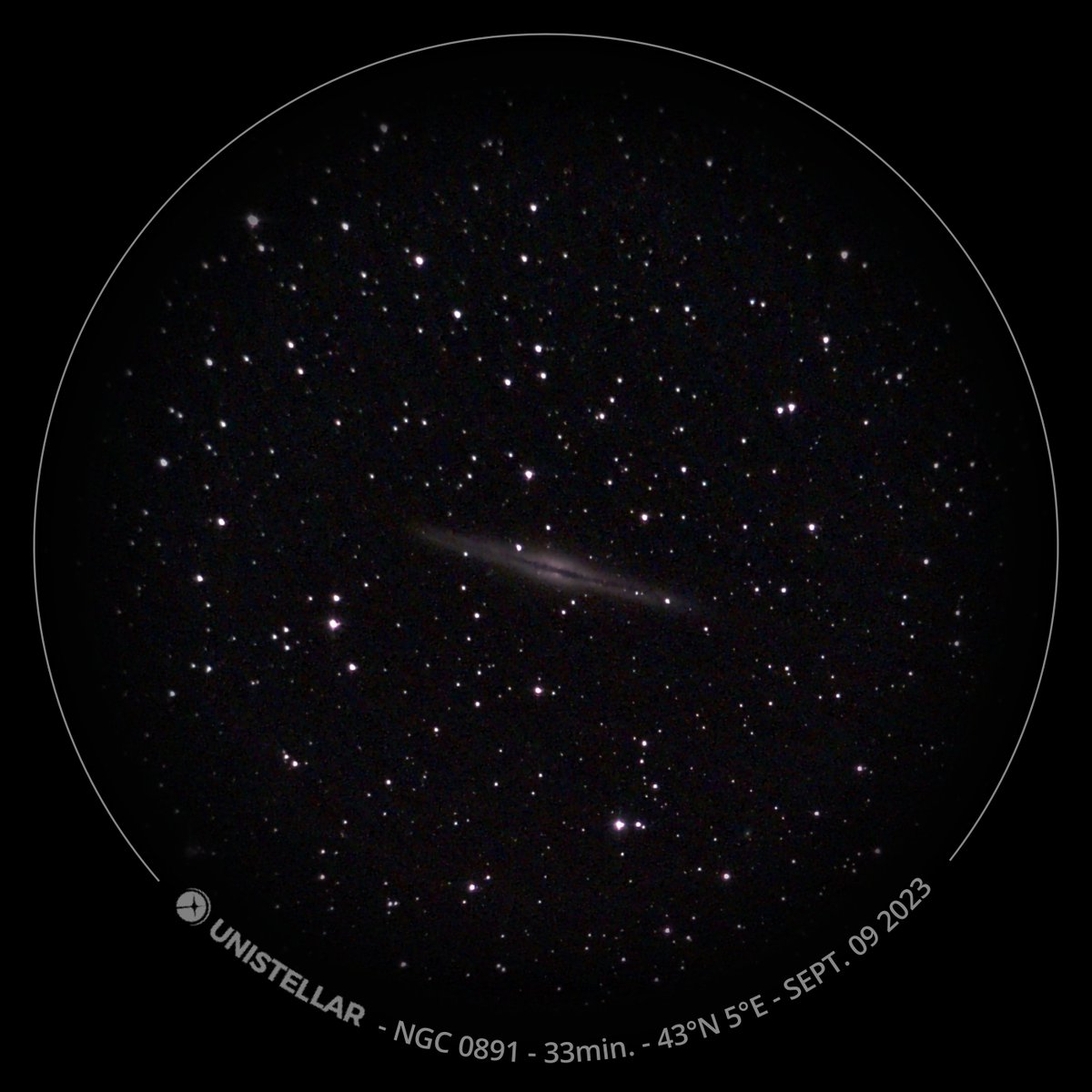 Manon Pujol tweet media