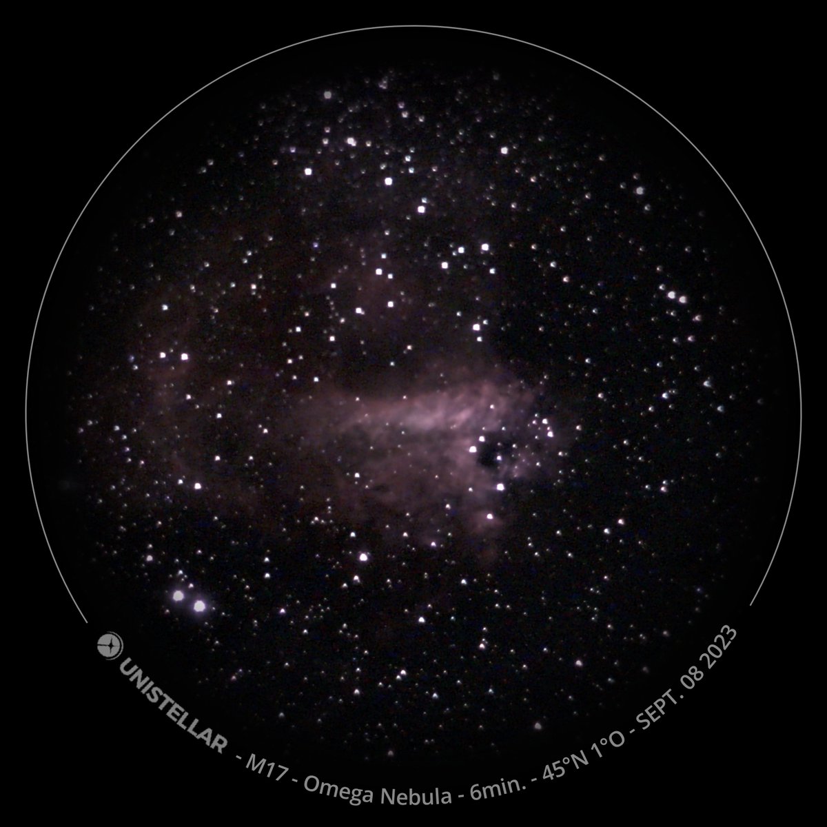 Manon Pujol tweet media