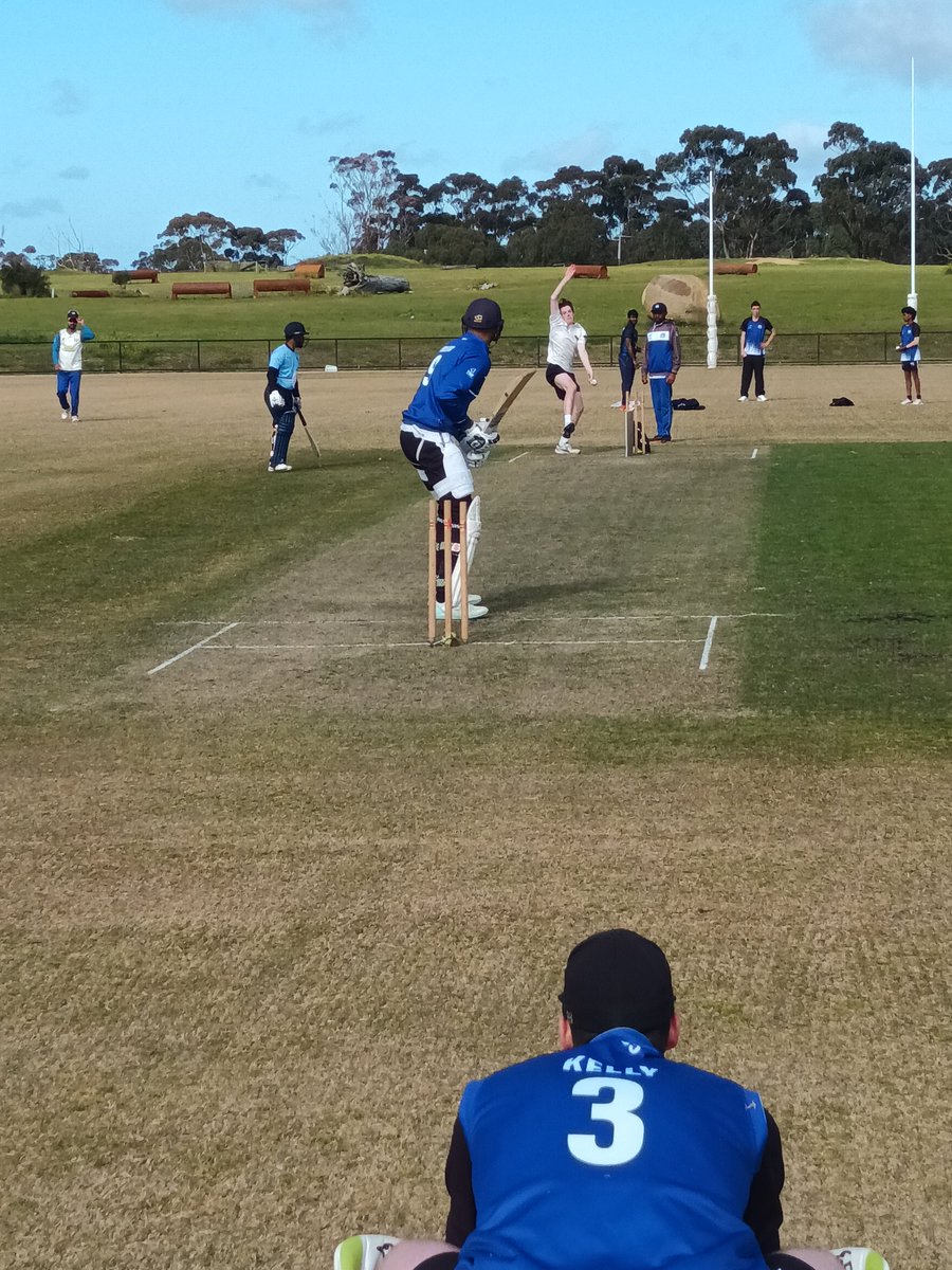 Greenvale Kangaroos tweet media