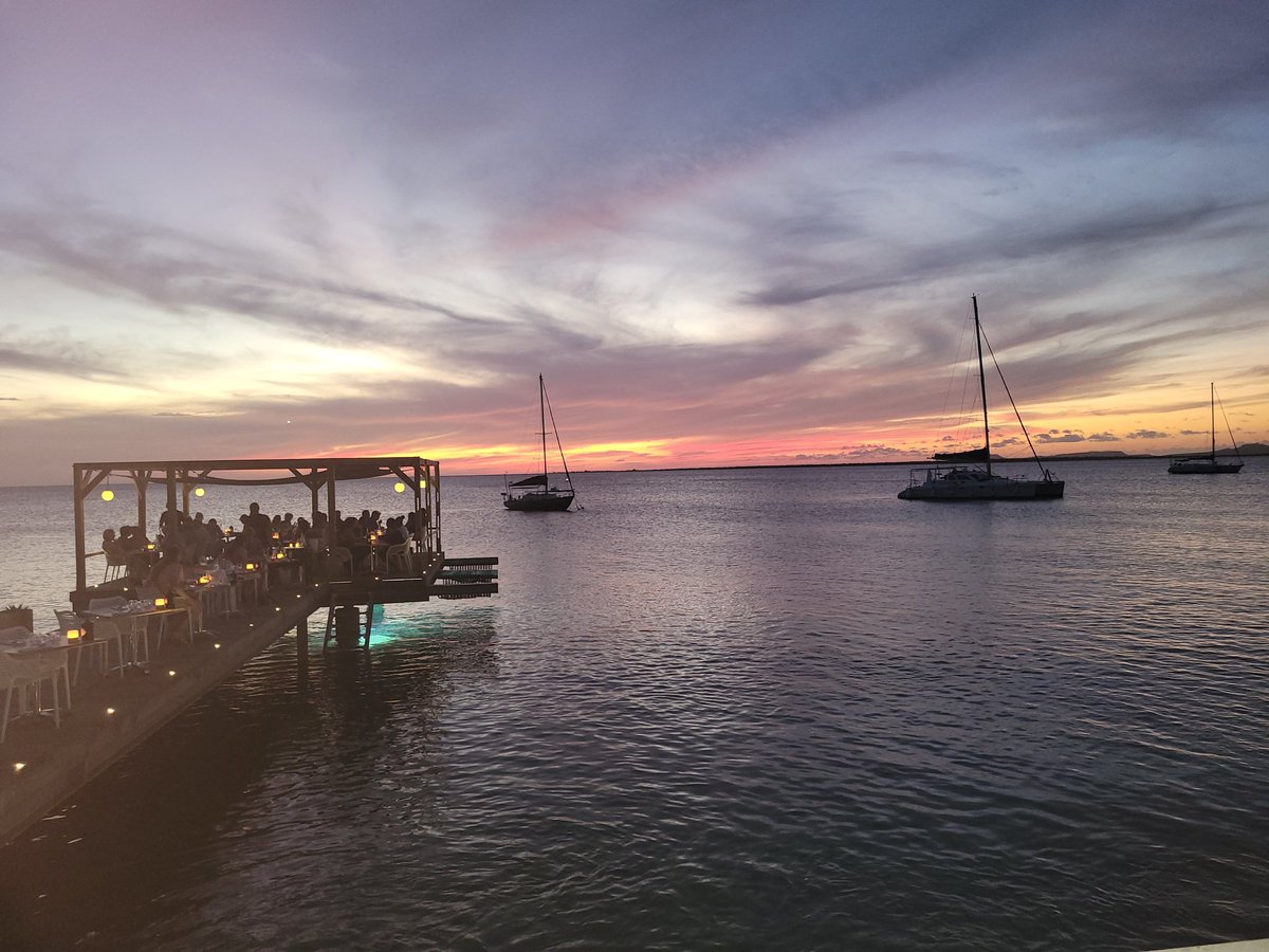 Human Nerve Ending tweet media