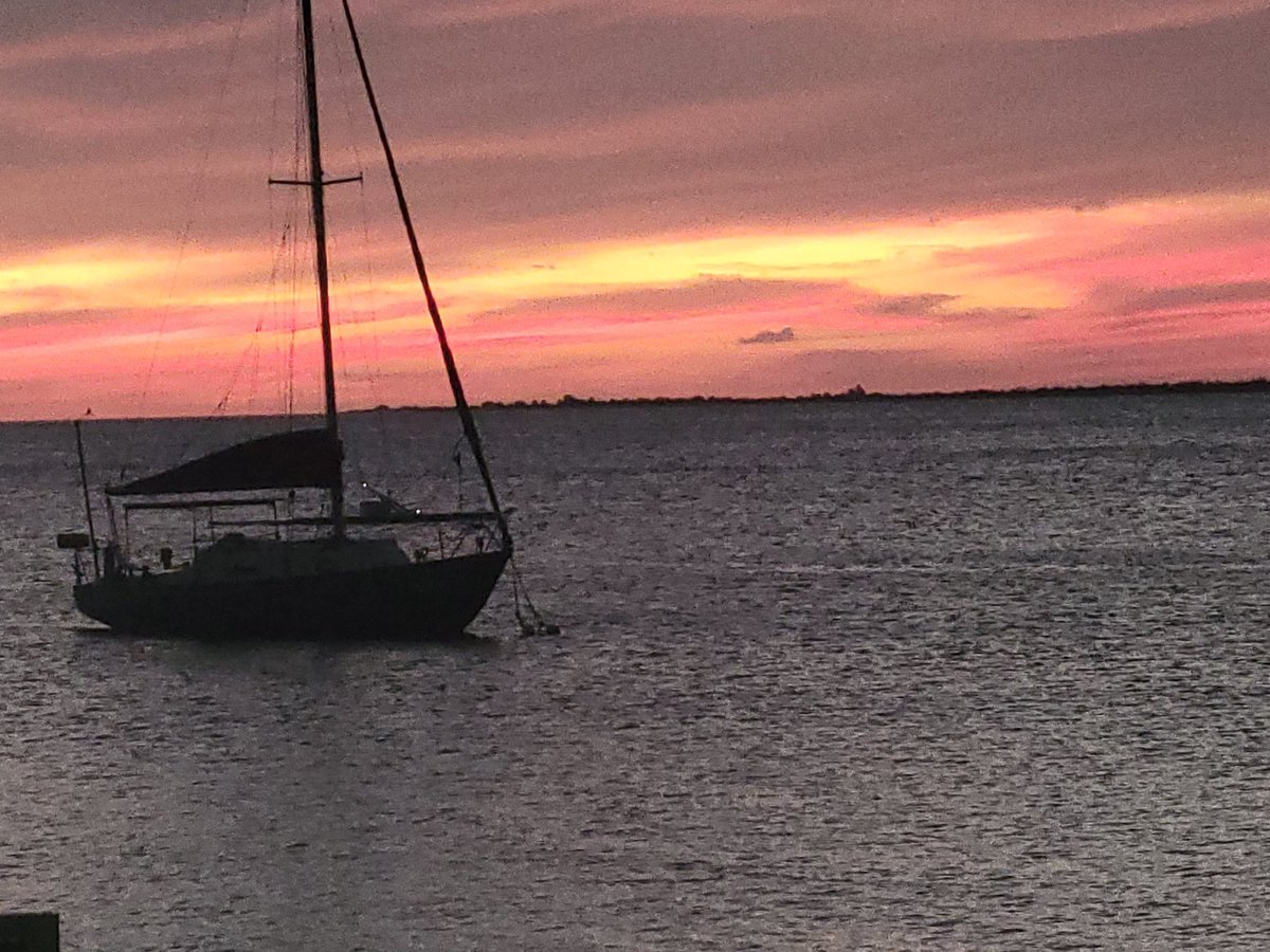 Human Nerve Ending tweet media