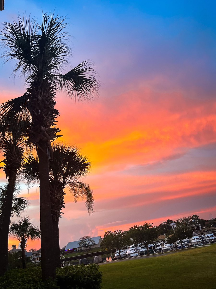 Kristi McLennan tweet media