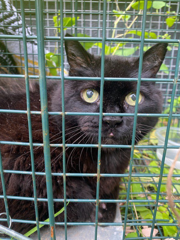 Annie Bowers tweet media