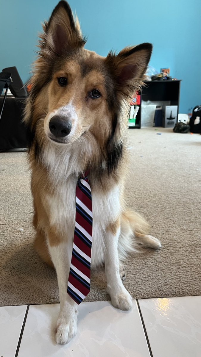 Fred Cunha tweet media