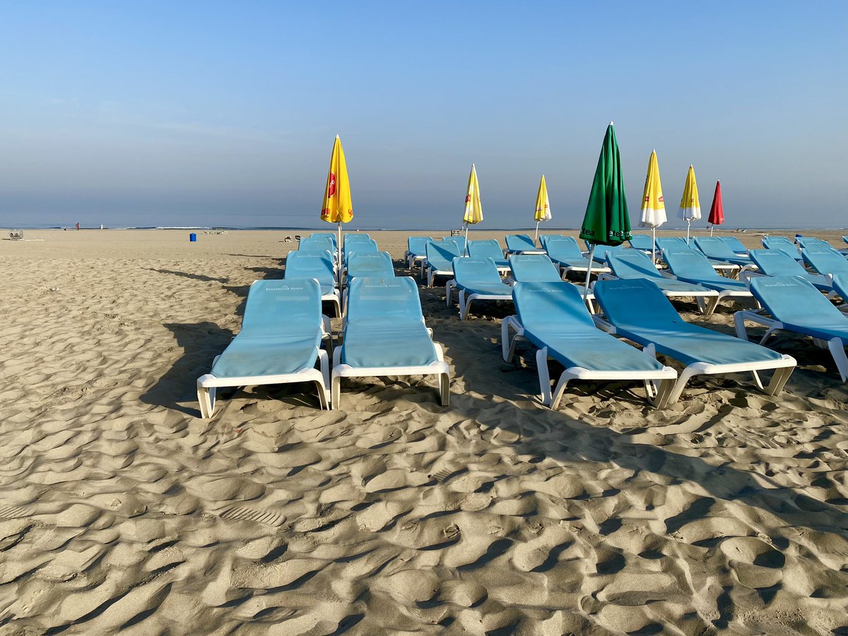 Paul Verspeek tweet media