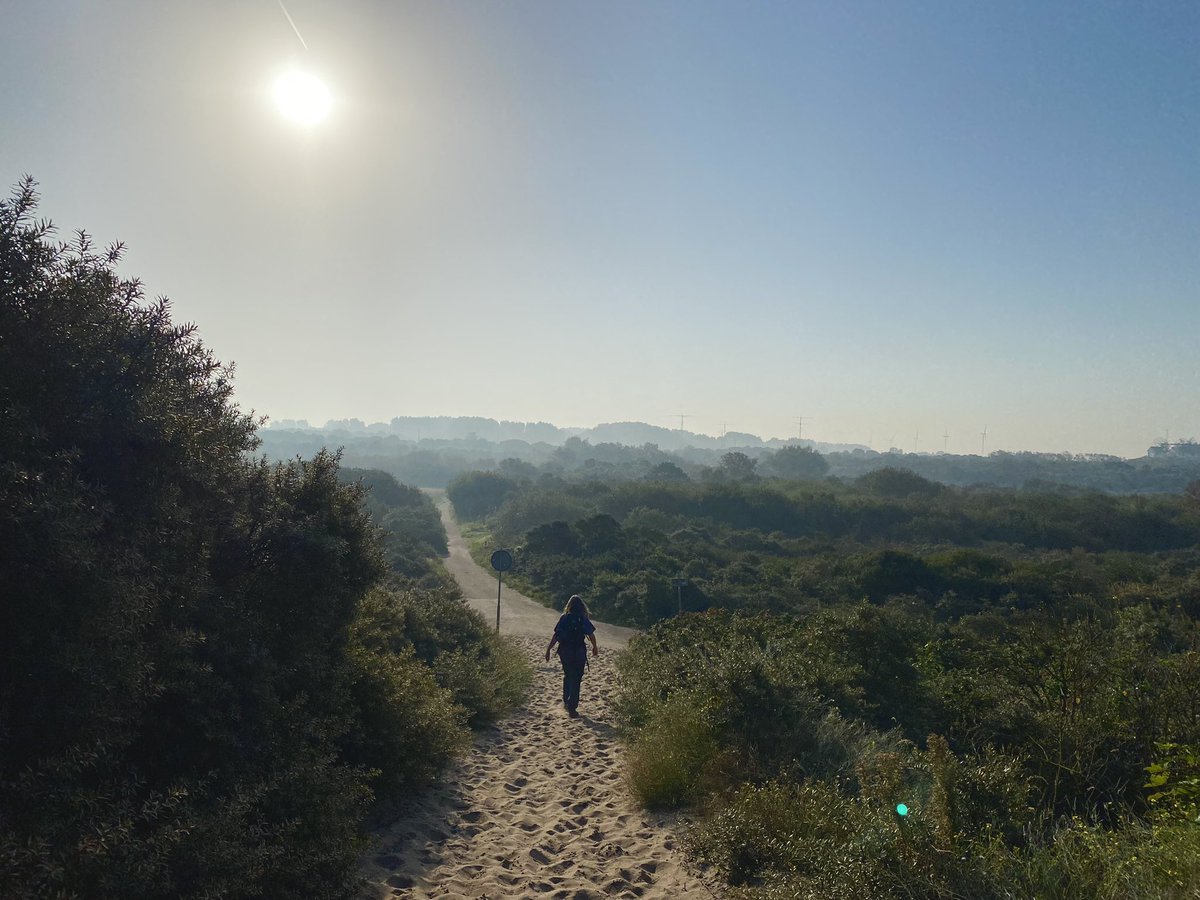 Paul Verspeek tweet media