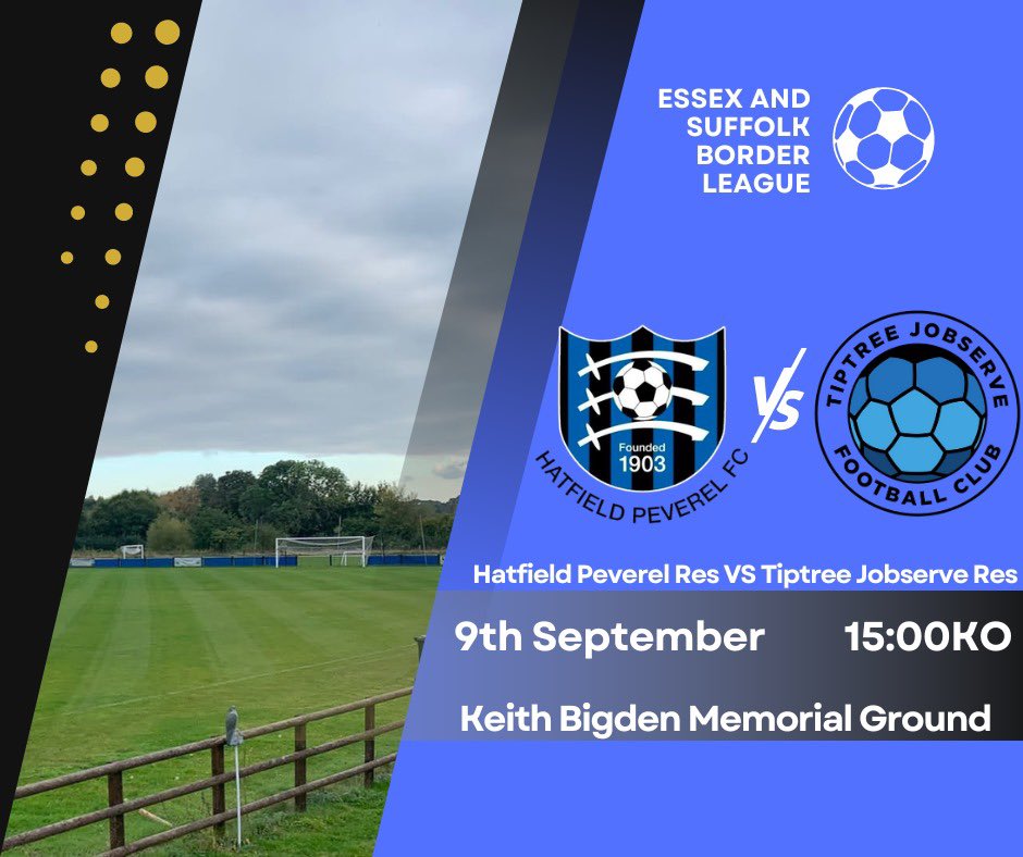 Hatfield Peverel FC tweet media
