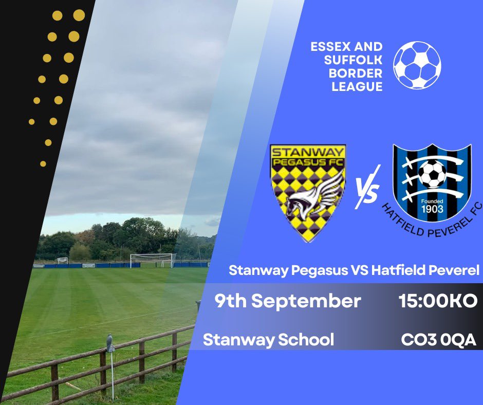 Hatfield Peverel FC tweet media