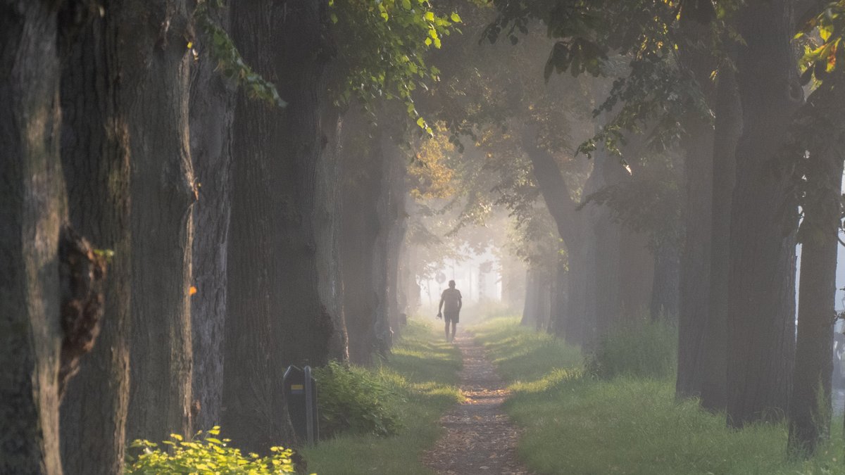 joshebben's tweet photo. #Mist in de ochtend later werd het #heiig #Weert @weeronline @Talpaweer @Weerplaza @BuienRadarNL @MeteoLimburg @MeteoVoorne @EdAldus @janvissersweer @WeermanRico @helgavanleur @WNLVandaag https://t.co/JzUmZCxbRD