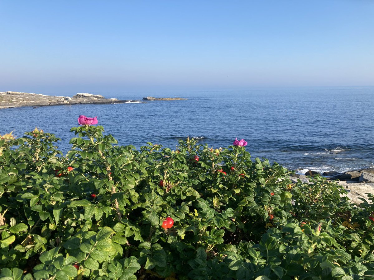 MicheleDMorin's tweet image. “Jesus Christ did not suffer so that you would not suffer. He suffered so that when you suffer, you'll become more like him. The gospel does not promise you better life circumstances; it promises you a better life."
 ~Tim Keller
#onmywalk
#timkeller
#MoreLikeJesus
#gospelmessage