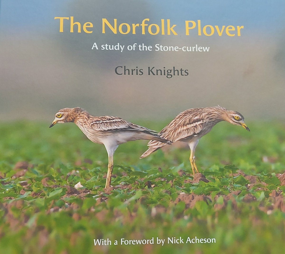 AndyBloomfield tweet media