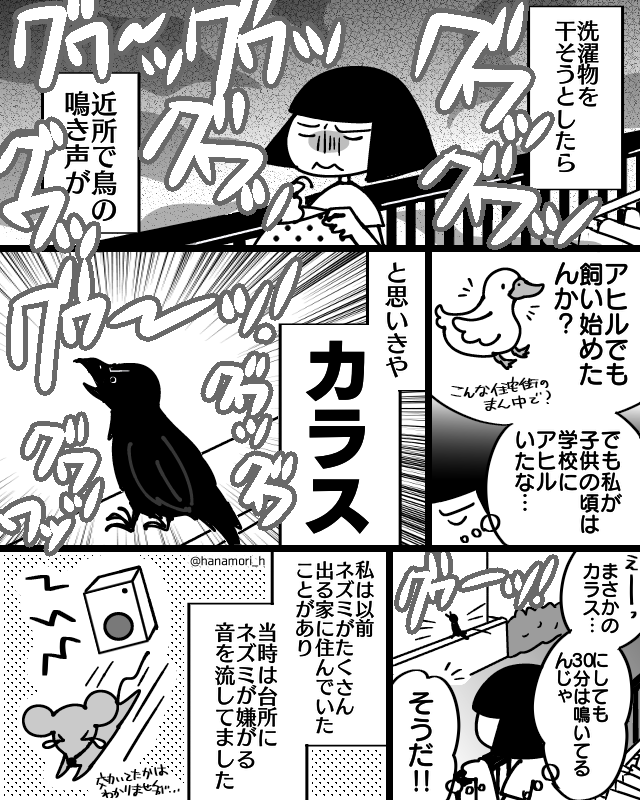 洗濯物を干そうとしたら…
#コミックエッセイ
#漫画が読めるハッシュタグ 