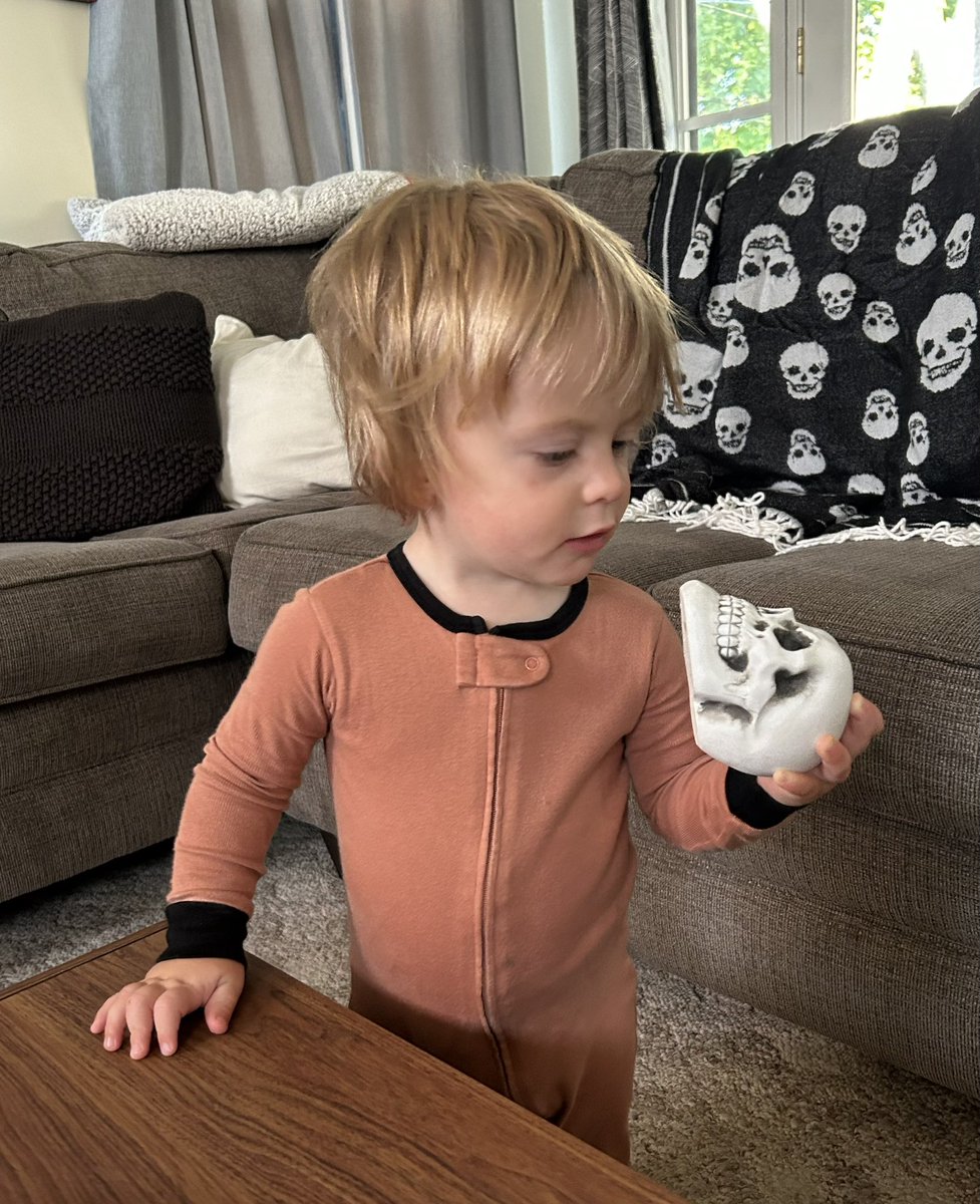 GVMrSimpkins's tweet photo. Alas, poor Yorick! https://t.co/d9zEuwraD7