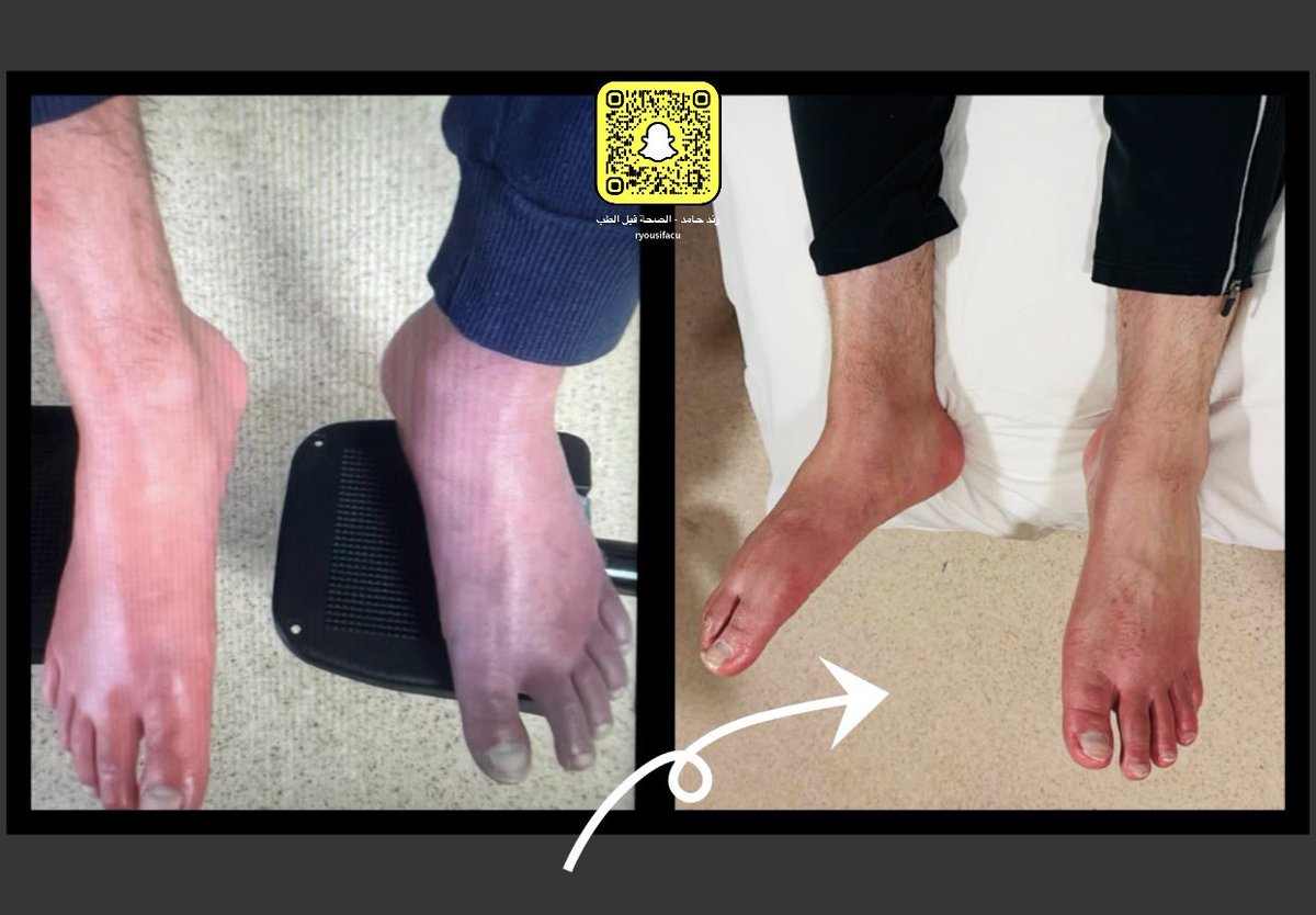 Rand Hamid الصفحة الرسمية tweet media