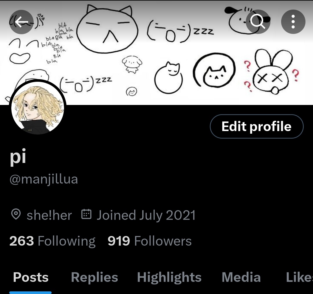 pi tweet media