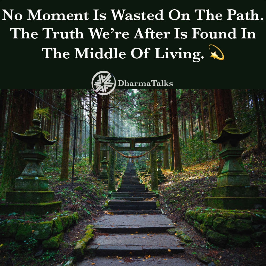 DharmaTalks's tweet photo. No moment is wasted on the path. The truth we’re after is found in the middle of living. 💫 #perseverance #empowerment #contemplation #contemplativelife https://t.co/sfGifyefZw