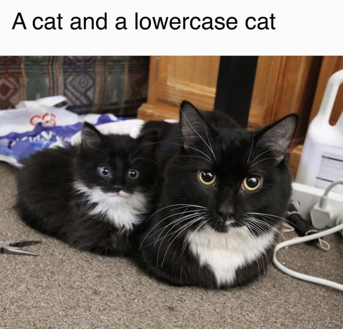 catshealdeprsn's tweet photo. https://t.co/tEGzByFWRO