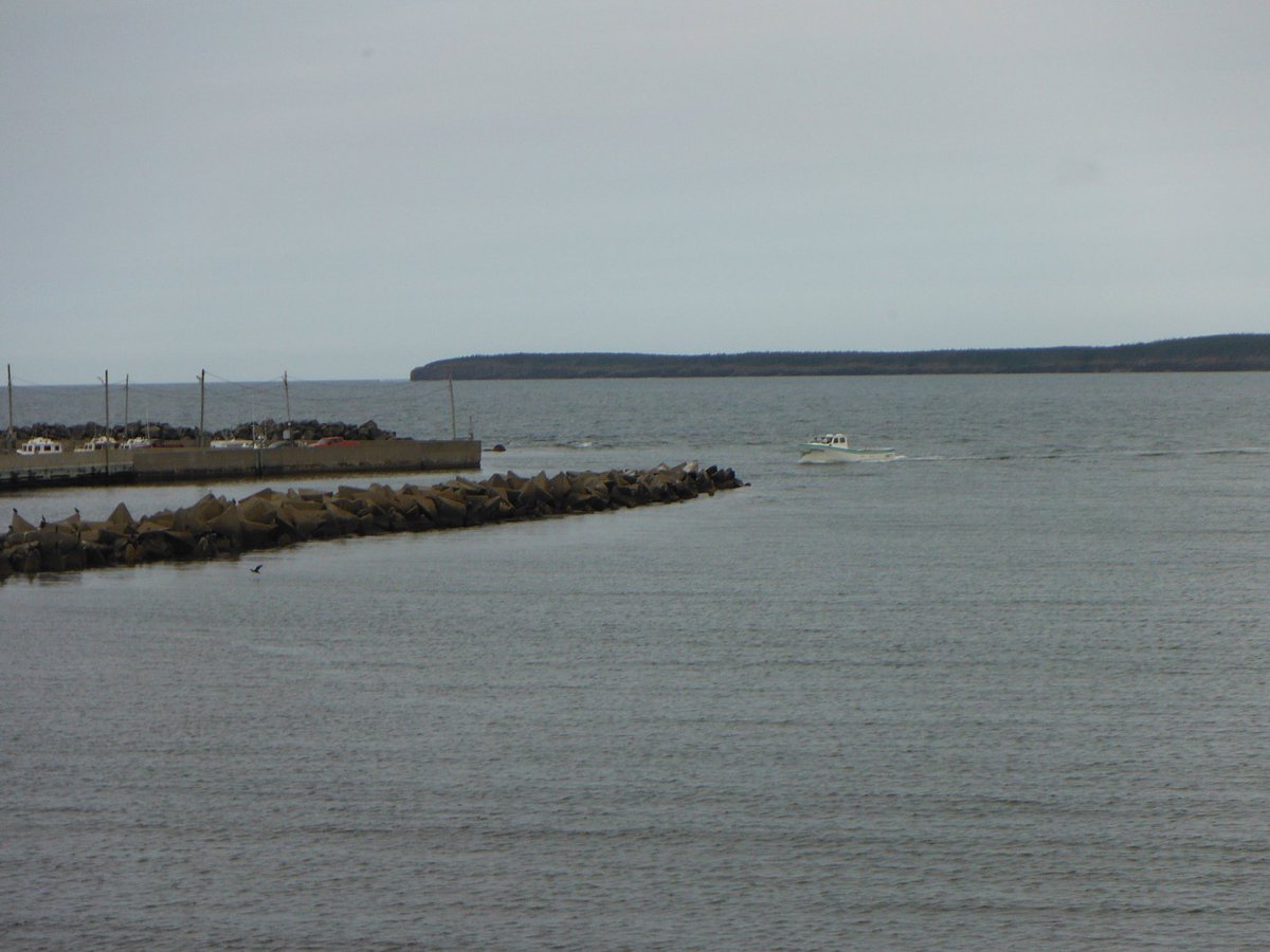 WFPBischoff's tweet photo. Geometric solids in action: Check out this effective use of triangular-based pyramids to protect the harbour in the lobster fishing village of Port Morien, Nova Scotia. Math rocks (or in this case, concretes)! https://t.co/PBUTNfxTEn