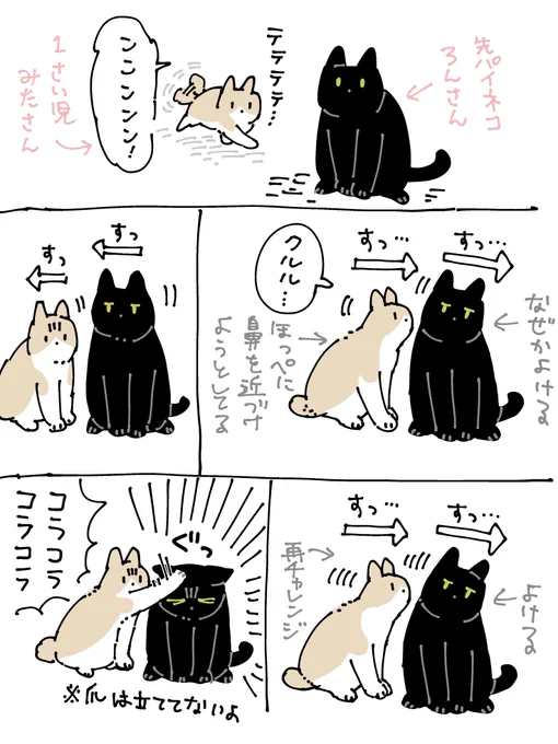ろんさんの近況 みたさんの遊び相手に認定されて結構されるがままになっている