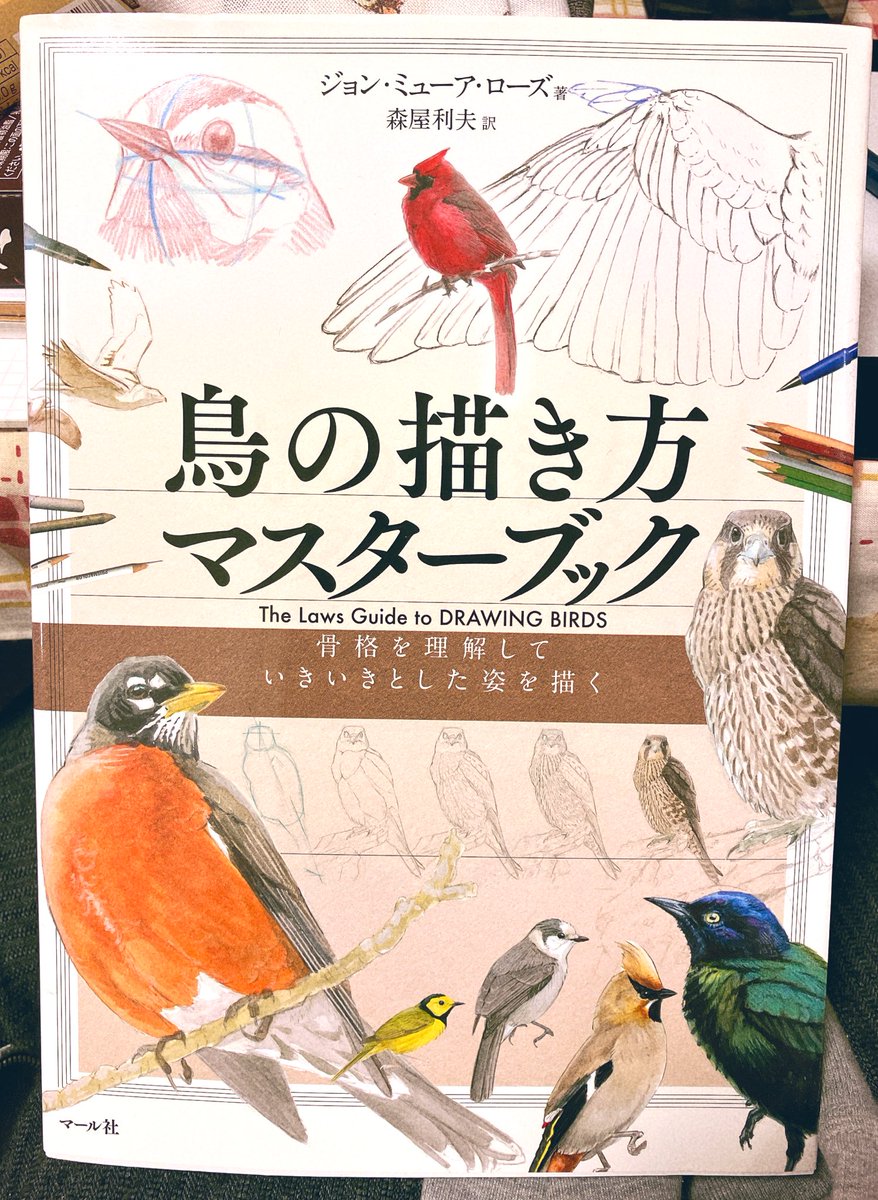 何かを察知  そこのきみ! 鳥関係を描く見本として超絶オススメな本がある、コレだ、生物好きとしてめちゃくちゃ感謝した一冊だぜ  あと関係ないけどオススメの生物系のレクチャー本のうち数冊