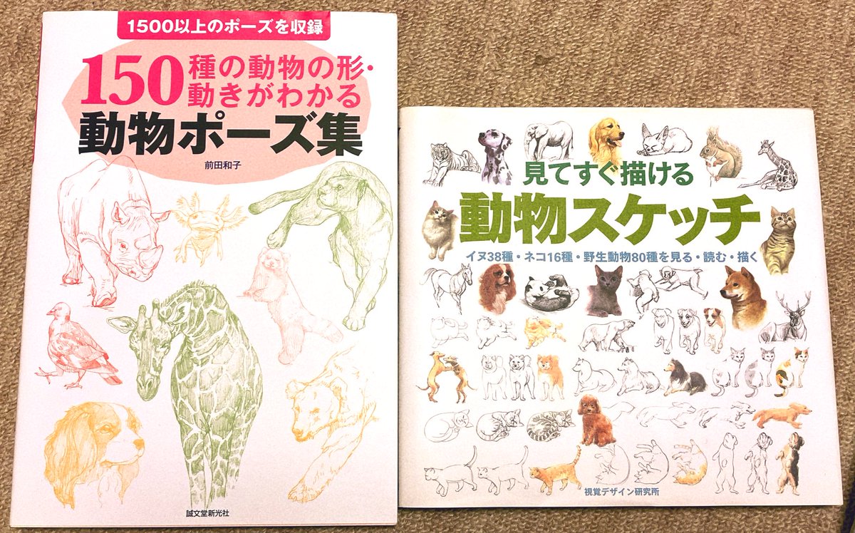 何かを察知

そこのきみ!
鳥関係を描く見本として超絶オススメな本がある、コレだ、生物好きとしてめちゃくちゃ感謝した一冊だぜ

あと関係ないけどオススメの生物系のレクチャー本のうち数冊 