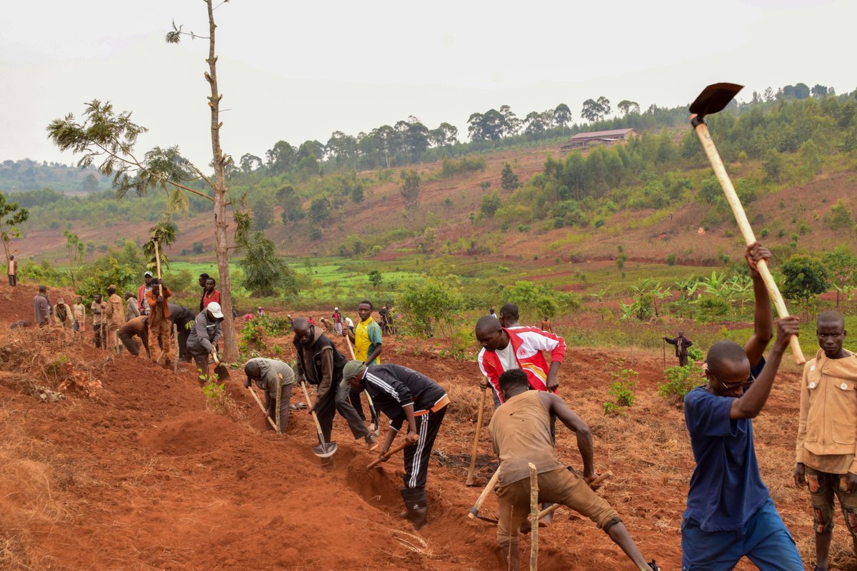 Gitega's tweet photo. #Burundi Ivyo yabishikirije na @Venantgtga buramatari wa @Gitega kuri uyu wagatandatu igenekerezorya 9/9/2023 mugihe yari yifadikanije n'abenegihugu bo muri kominne #Itaba ku mutumba #Gihamagara mu gacimbiri #Kabanga mu bikorwa vyo guca imikobeko mu matongo yabo https://t.co/lkmhEvaRL2