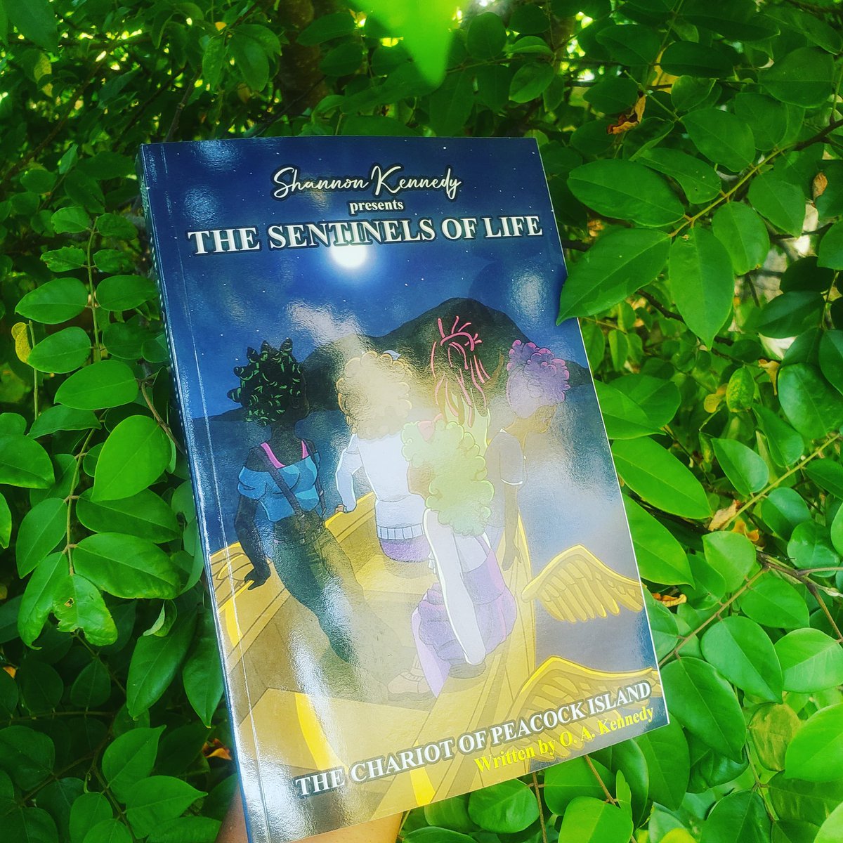 Diving into 'The Sentinels of Life' @sentinelsoflife under the warm embrace of the sun and the gentle rustle of leaves.📚☀️
#sentinelsoflife #booklove #scifinovel #superheroes
#teenheroes #blackauthors #diversecharacters #ownvoices #yabooks #scififantasy #superpowers #readinglist