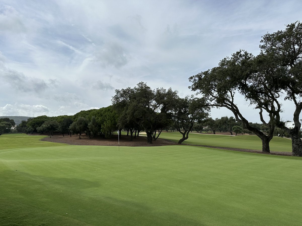 Turfgrass® tweet media