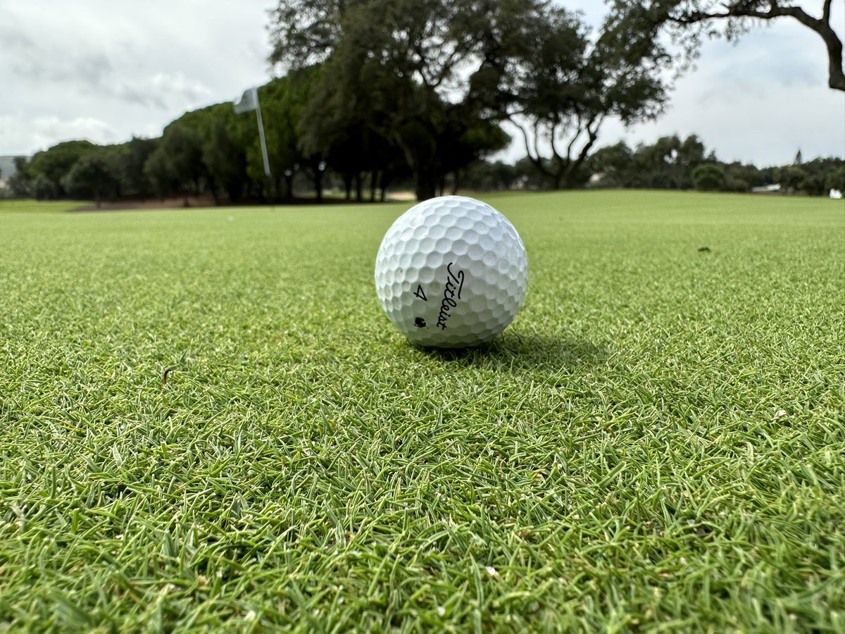 Turfgrass® tweet media