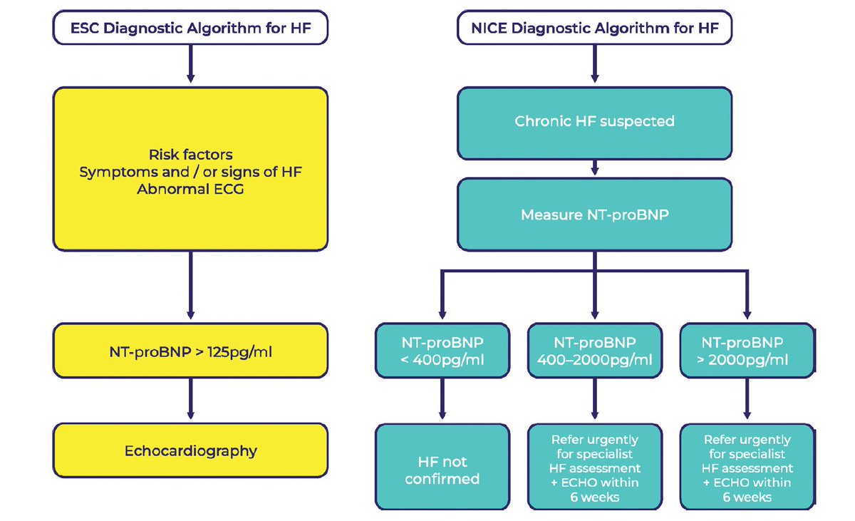 gonzaeperez's tweet photo. INSUFICIENCIA CARDÍACA CON FE PRESERVADA
Revisión @Heart_BMJ 👌🏼

-Diagnóstico
-Fisiopatología
-Tratamiento
#HFpEF 

https://t.co/EswzlxG19f https://t.co/FELVxKzkce