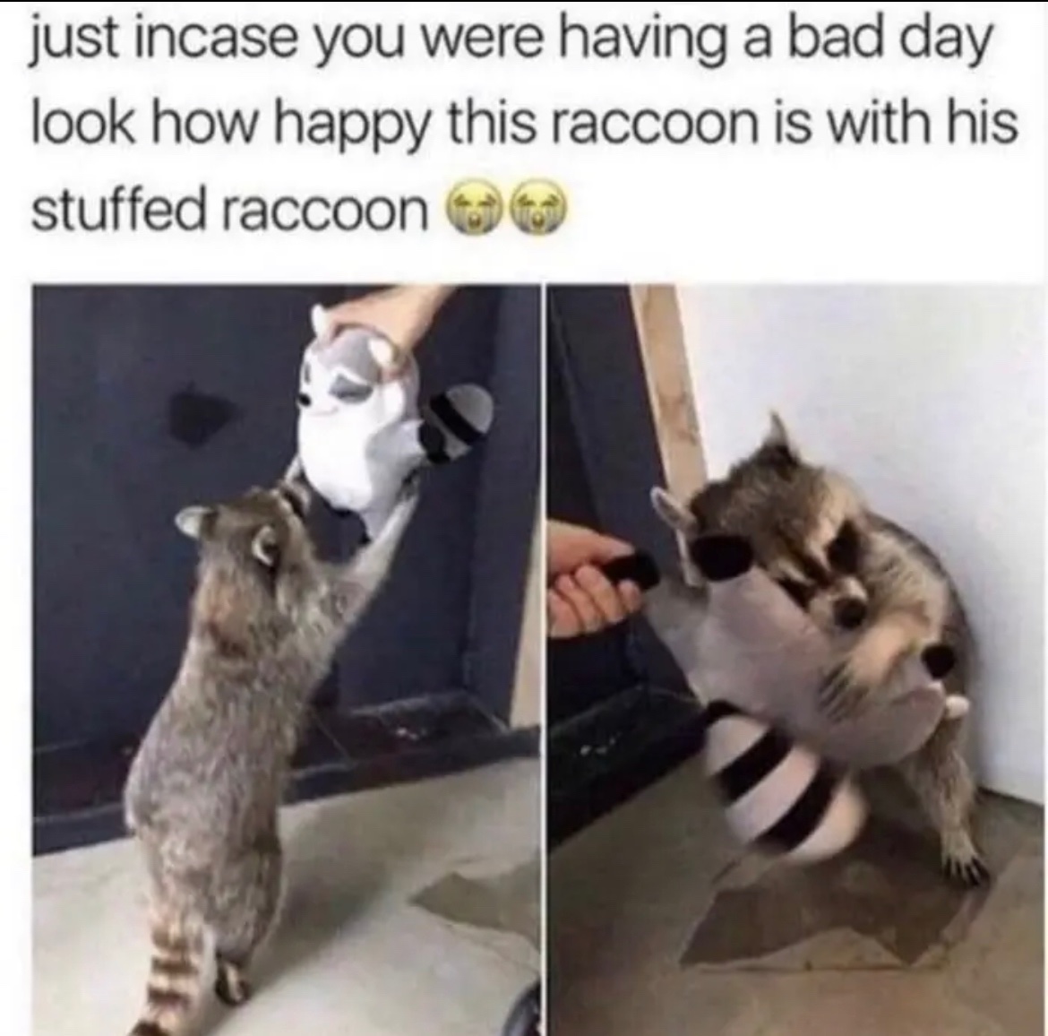 RespectfulMemes's tweet photo. https://t.co/60LX4NUceV