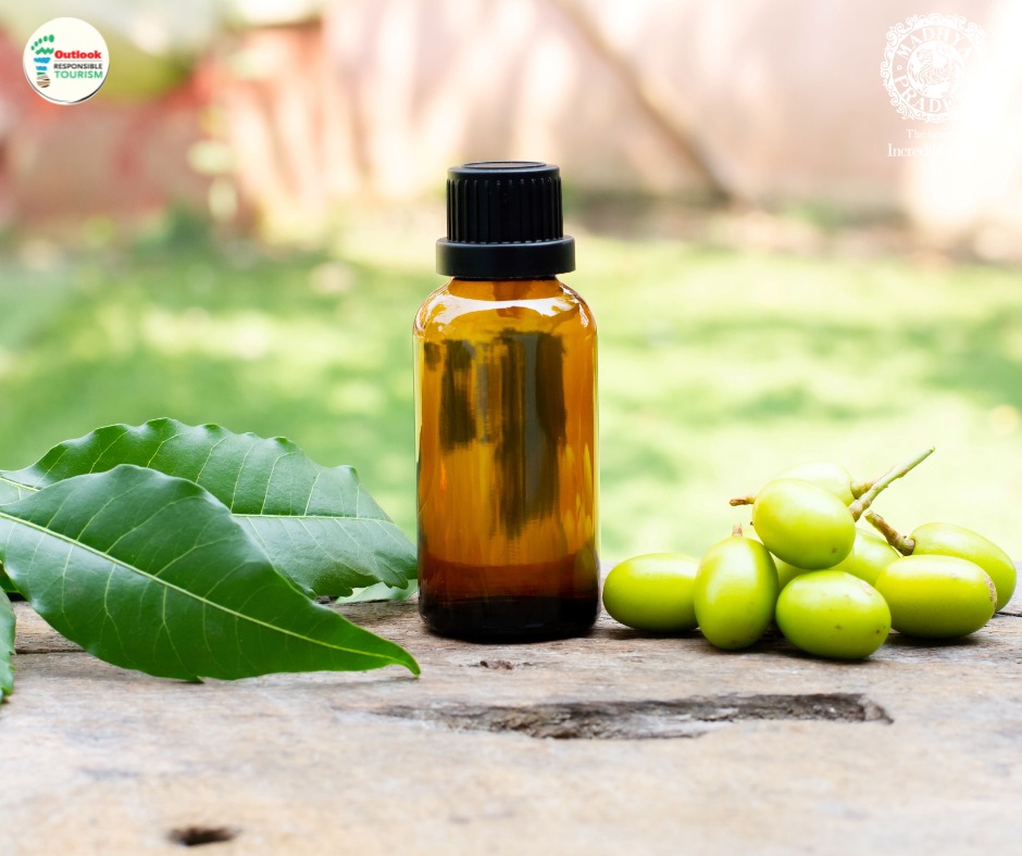 Madhya Pradesh's lush forests are a treasure trove of medicinal herbs, and its age-old tradition of foraging is a captivating sight. The Mahua tree, Neem, Amla, and the revered Triphala are just a few examples of the natural remedies found here. 

#selfcare #HealingHerbs