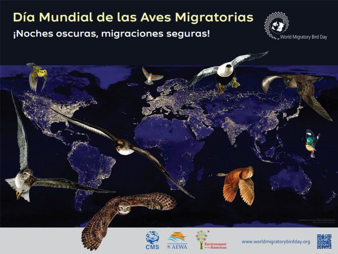 ElSalvadorBirds's tweet photo. ¿Quieres ayudar a las aves migratorias nocturnas? Pues es muy sencillo: apaga todas las luces del exterior que no necesites. Esto reducirá un poco la contaminación lumínica en los nuestros cielos y las aves podrán ubicarse mejor en su viaje al Sur. ¿Qué estas esperando? https://t.co/4Qou45EqQ8