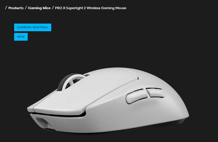 SUSSULEVRAI tweet media