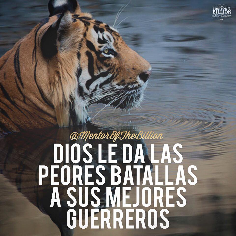 Judith 🐣 tweet media