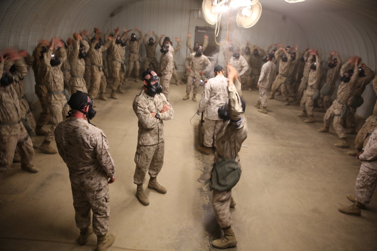 Facing the Burn: Marine Boot Camp's Gas Chamber Ritual txdvldg.com/marine-corps-g… #usmc #marines #gaschamber