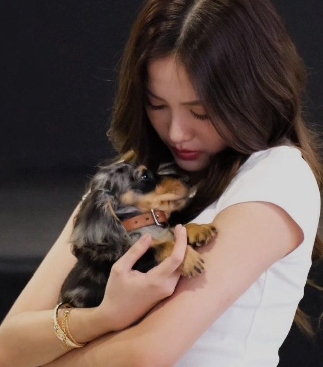 nee9595's tweet photo. Really need to know how to be fluffy 😭🐶🤍 https://t.co/0Pwr8yl046