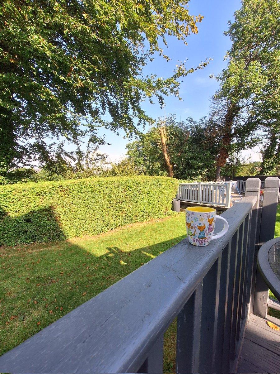 Beth Cartwright tweet media