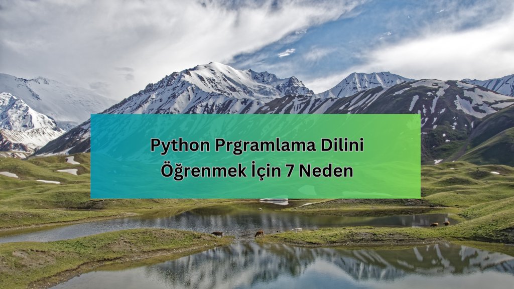 👀Python'un teknoloji dünyasında bu kadar popüler olmasının ardındaki sırlarını mı merak ediyorsunuz? İşte Python öğrenmek için 7 güçlü sebep! 

👉netbilio.com/?p=1562

#PythonÖğrenme #Coding #Python