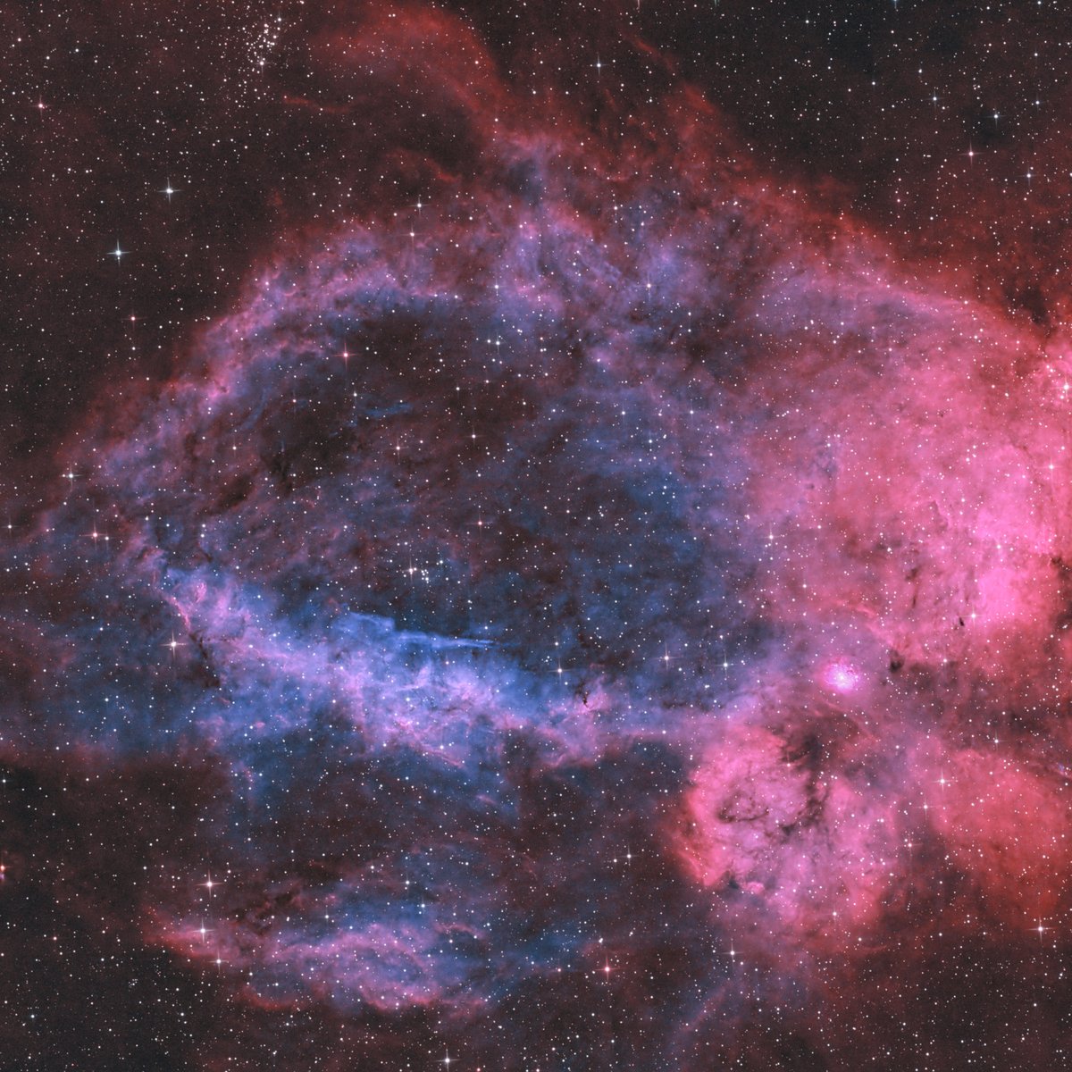 NetSmilingj's tweet photo. New month, new project: This time the Lobster Claw Nebula.

Blog: https://t.co/5YAlLm2sxz

#astrophotography #lobsterclawnebula #sh2157 #heq5pro #130pds #asi294mcpro https://t.co/f9QKRfHwHg