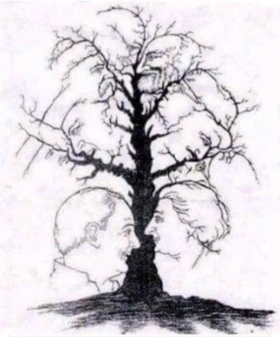 quantos rostos você vê nessa imagem?