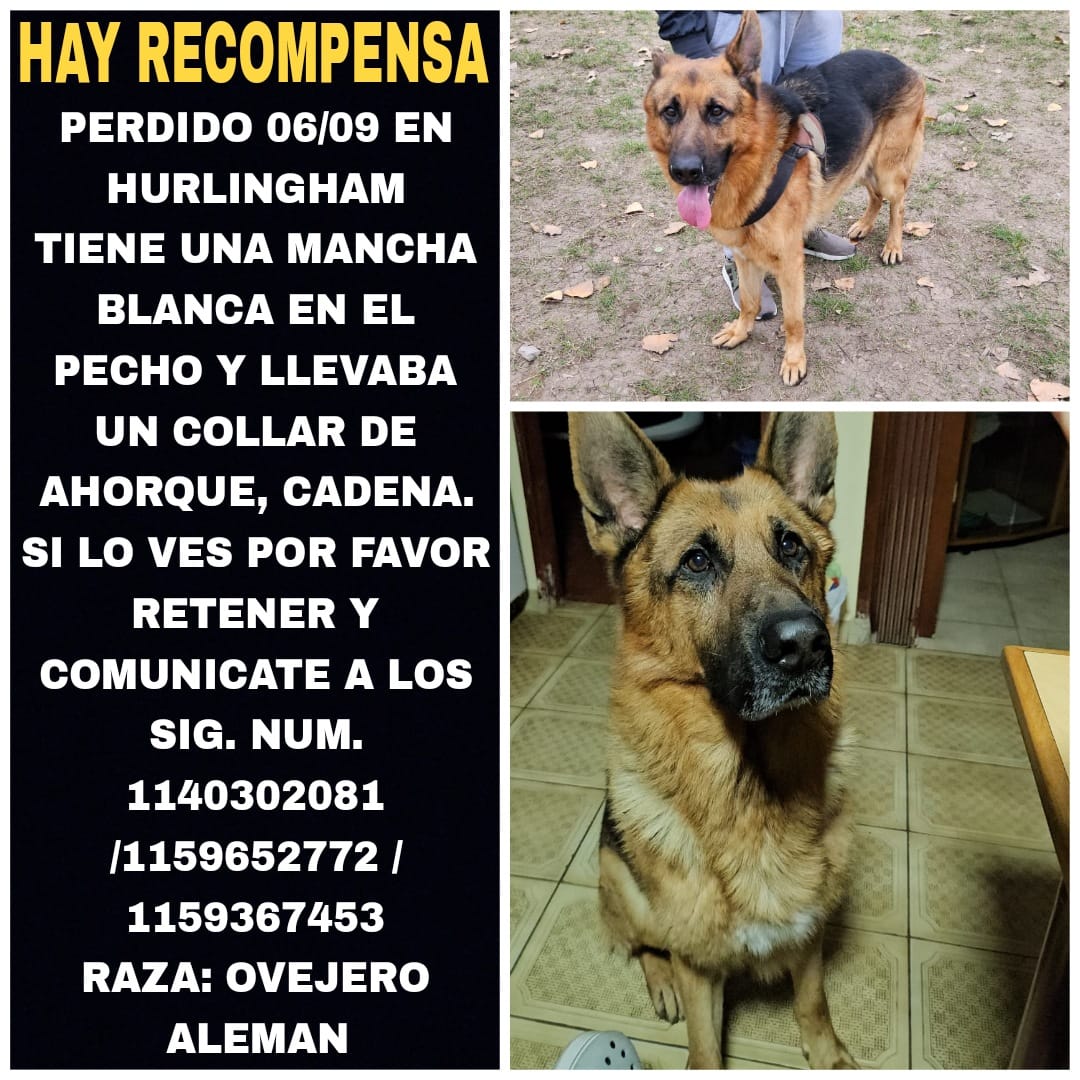 Yanivieiro's tweet photo. @telefenoticias @mauroszeta @C5N @todonoticias @eltreceoficial https://t.co/BXRZtCN0fy