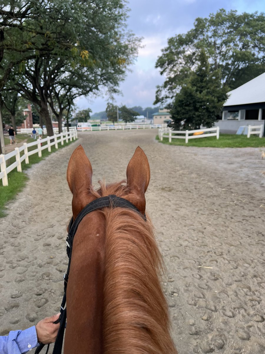 good morning fam ☀️